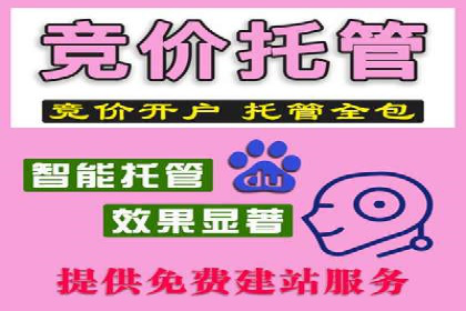 SEO技术突破：某网站流量暴增的背后故事